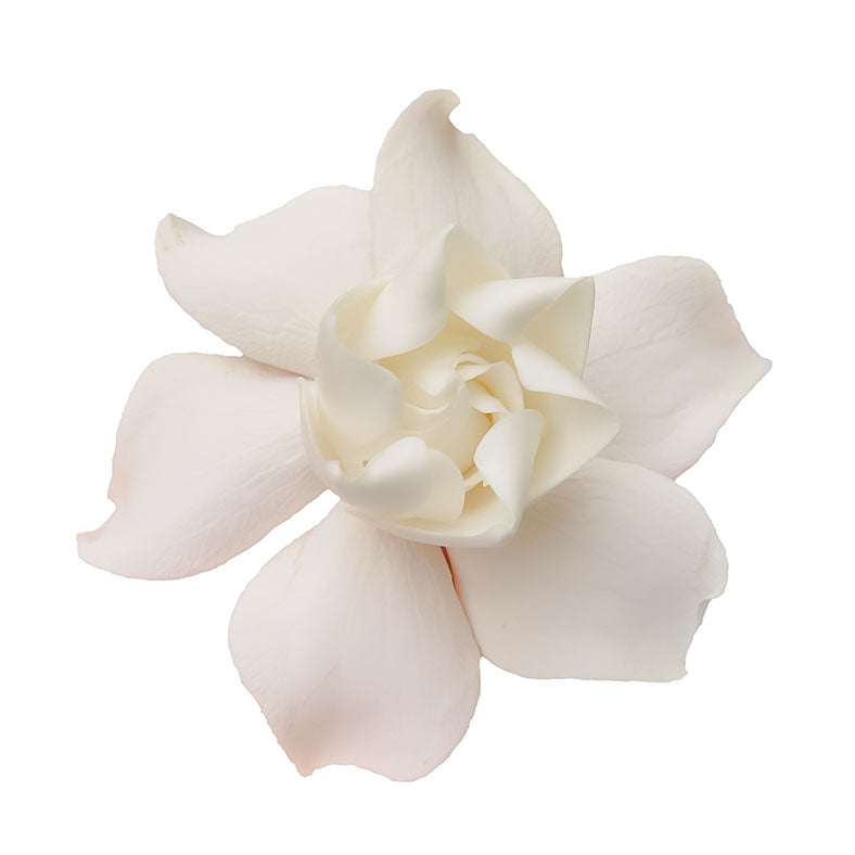 DAME SOLIFLORE Gardenia Perfume