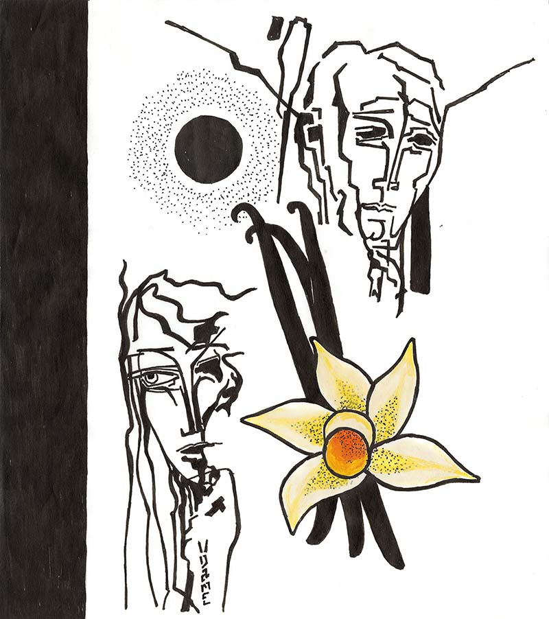 Sonoran Desert Black Flower Mexican Vanilla Pen and Ink drawing with Gouache color brushwork on vellum by Dame Perfumery Artist-In-Residence V. Dave Dame